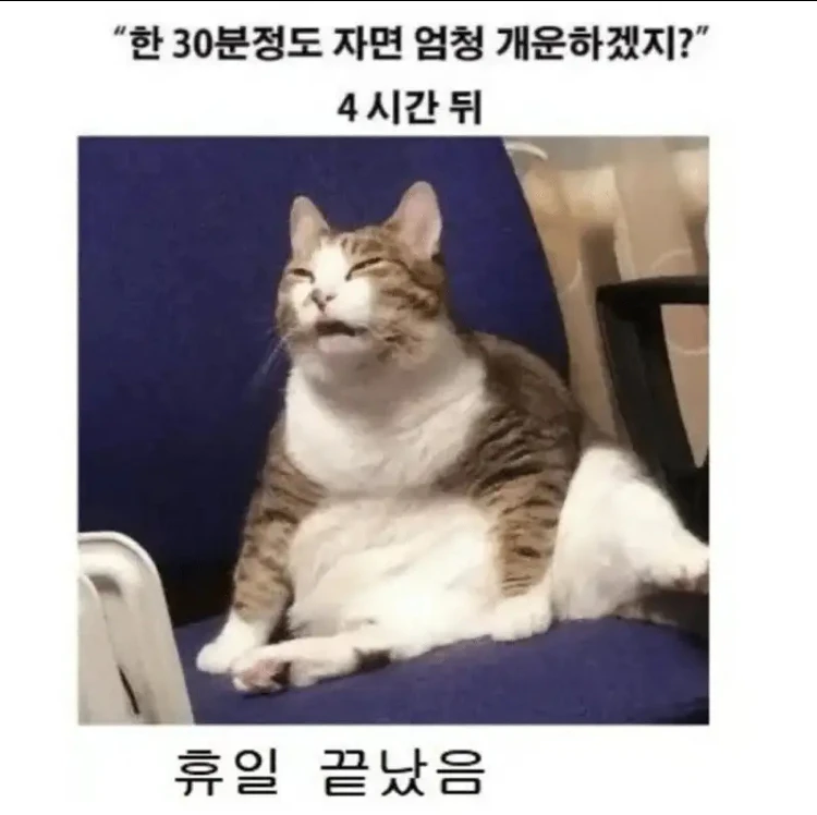 쉬는날 낮잠을 자면 안 되는 이유